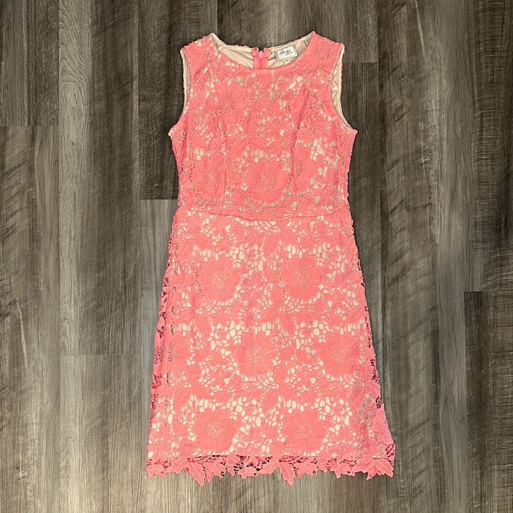 Beige by Eci Pink Floral Lace Sleeveless Back Zip Dress - 6